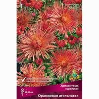 Хризантема корейская Оранжевая игольчатая 1шт 