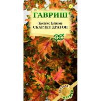 Гавриш Комн. Колеус Скарлет Драгон 4шт Элитная клумба 4шт