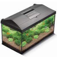 Крышка для Палюдариума 10л