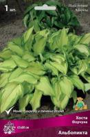 Хоста Форчуна Альбопикта (I) 1 шт