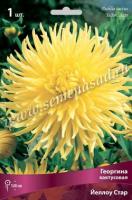 Георгина кактусовая Йелоу Стар (I) 1 шт 