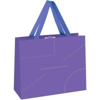 Пакет подарочный 23*18*10см "Monocolor. Lavender" отд. фольгой мат. ламинац MESHU /MS_51943/Рельеф