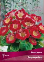 Глоксиния Тигринум Ред 4/5 (2 шт)