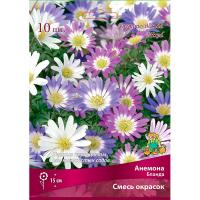 Анемона Бланда смесь (5/6) 10 шт