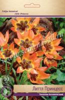 Тюльпан Ботанический Литтл Принцесс (6/8) 10 шт