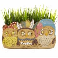 Кашпо Совята кашпо милое (тройняшки) 2,2л