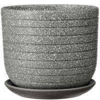 Пряности серый бук №3 2,9л