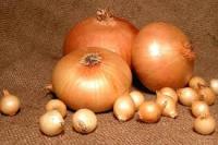 Лук-севок Штуттгартер Ризен 1кг+-10%