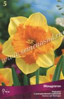 Нарцисс с Расщеплённой коронкой Мондрагон (12/14) 5шт.