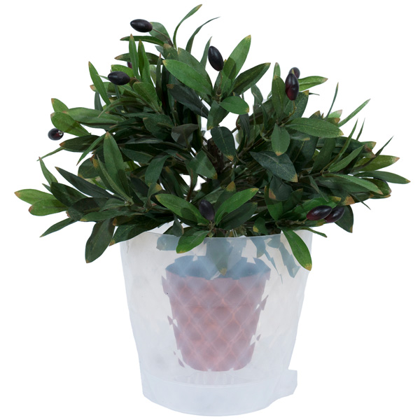 Кашпо д/орх Румба 3л прозрачный /24шт/ДТ