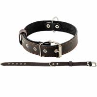 Ошейник кожа 35мм 1сл Стандарт 54-66см черный/010035черн/Дарэлл