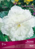 Бегония Бахромчатая Вайт (5/6) 1 шт