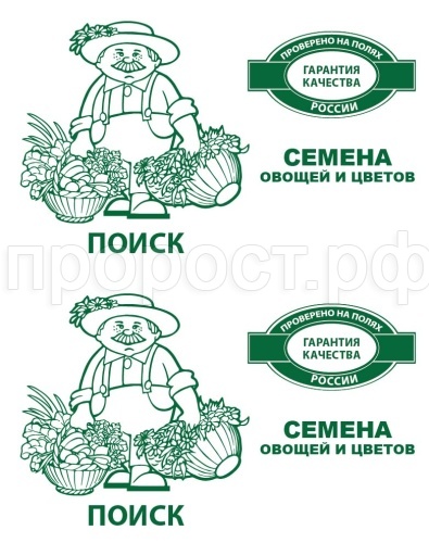 Капуста белокочанная Трансфер F1 0,2г ч/б