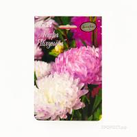 Астра Яблунёва 20*0,5 