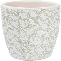 Маджента белый крокус кашпо 0,16л