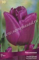 Тюльпан Триумф Пассионале (11/12) 10 шт