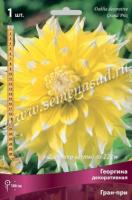 Георгина декоративная Гран-при