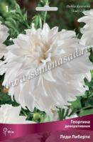 Георгина декоративная Леди Либерти (I) 1 шт 