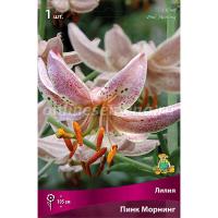 Лилия Пинк Морнинг (14/16) 1 шт 821190