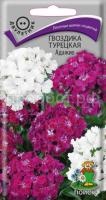 Гвоздика Турецкая Адажио Гвоздика Турецкая Адажио