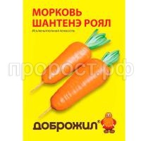 морковь шантенэ роял морковь шантенэ роял