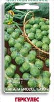 Капуста брюссельская Геркулес 0,5г Капуста брюссельская Геркулес 0,5г