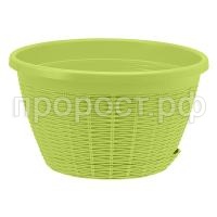 4,5_Фисташка