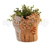 котята милые котята милые