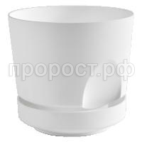 тренд бел. 4160