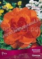 НоменклатураПрисоединенныеФайлы НоменклатураПрисоединенныеФайлы