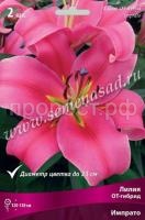 Лилия ОТ-Гибрид Импрато (14-16) 2шт 736205 Лилия ОТ-Гибрид Импрато (14-16) 2шт 736205