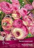 lutik_asia_picoti_pink_kaper lutik_asia_picoti_pink_kaper