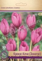 Крокус Зонатус Крокус Зонатус