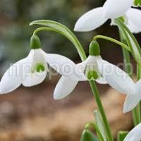 Без названия