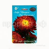 Астра Принцесса Рот Эдельштайн 200,5 Каприс