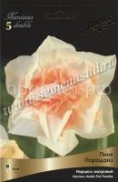 Нарцисс Пинк Парадайз Нарцисс Пинк Парадайз