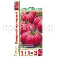 9209df49d3ed11ef95e7e4fd458975d2_9209df4ad3ed11ef95e7e4fd458975d2 9209df49d3ed11ef95e7e4fd458975d2_9209df4ad3ed11ef95e7e4fd458975d2