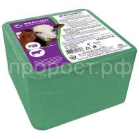 a3177d7b_88d4_11eb_95c5_40f2e9da4fe5_979e08a0_a05f_11eb_95c6_40f2e9da4fe5.resize1