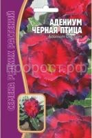 Адениум Черная Птица 3 шт Редкие растения