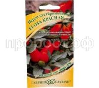 Без названия (3)