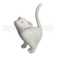 котенок игрив бел