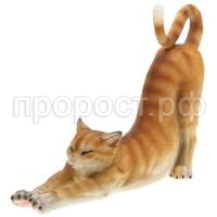 кот рыжий 458