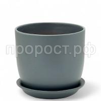 верона сер верона сер