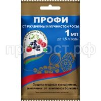 Профи-1-пакет 2023 копия Профи-1-пакет 2023 копия