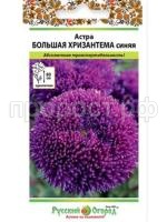 астра большая хризантема синяя астра большая хризантема синяя