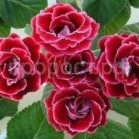 Без названия (14) Без названия (14)