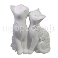 кот и кошка бел