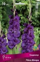 Гладиолус Пёпл Флора Гладиолус Пёпл Флора