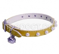 oshejnik-zheltyj oshejnik-zheltyj