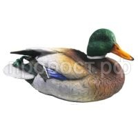 селезень775 селезень775